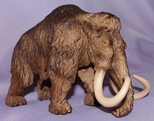 Healing Home Feng Shui